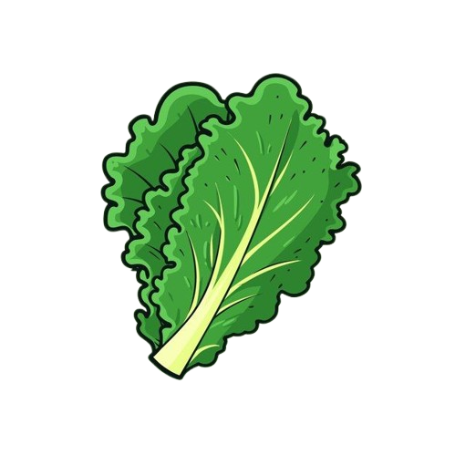 Vegan